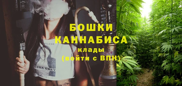 PSILOCYBIN Мегион